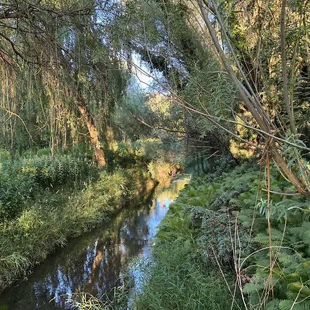 Wiedzmy * Zawada (Tarnowskie Gory)