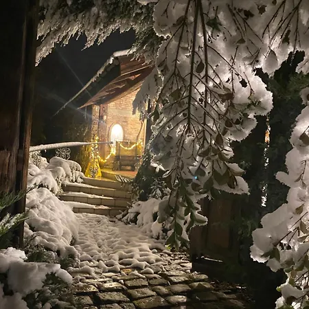 Wiedzmy * Zawada (Tarnowskie Gory)