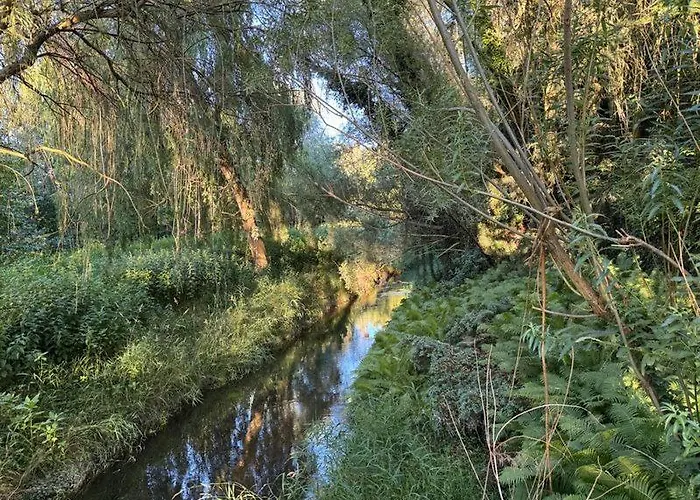 Wiedzmy * Zawada (Tarnowskie Gory)